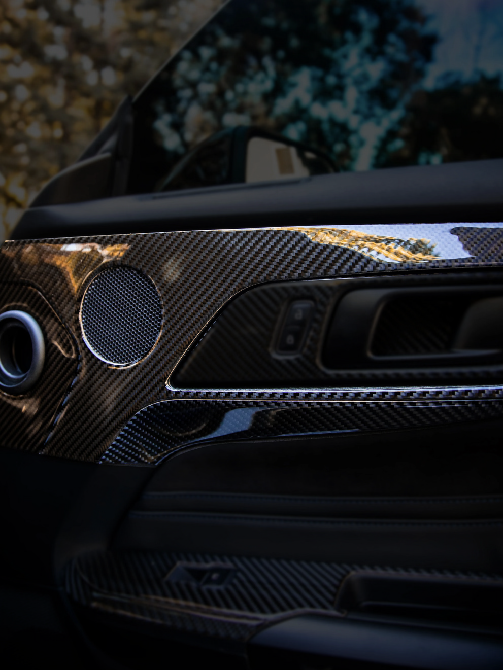 Mustang S650 2024-2025 Full Carbon Interior Kit