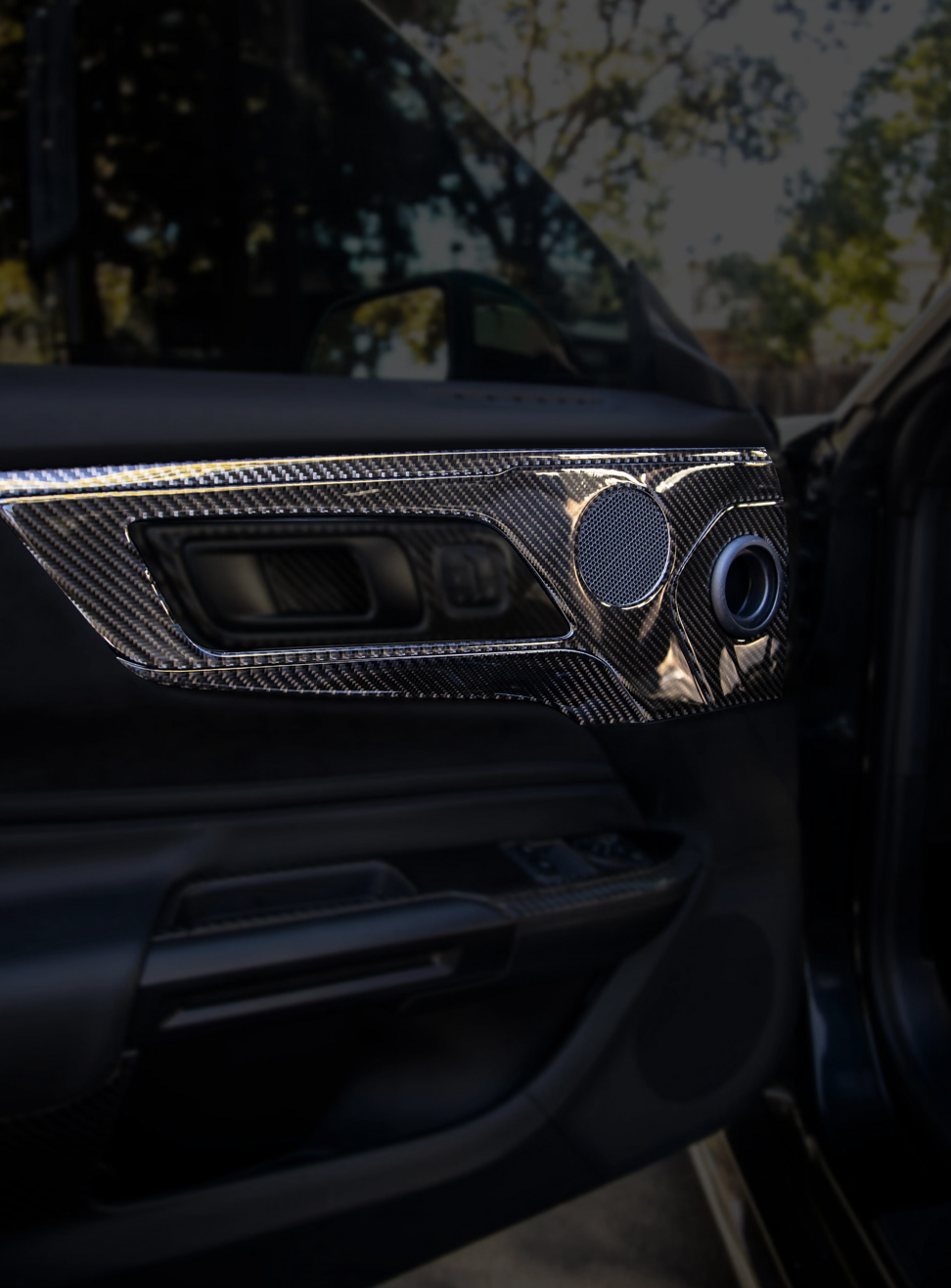 Mustang S650 2024-2025 Full Carbon Interior Kit